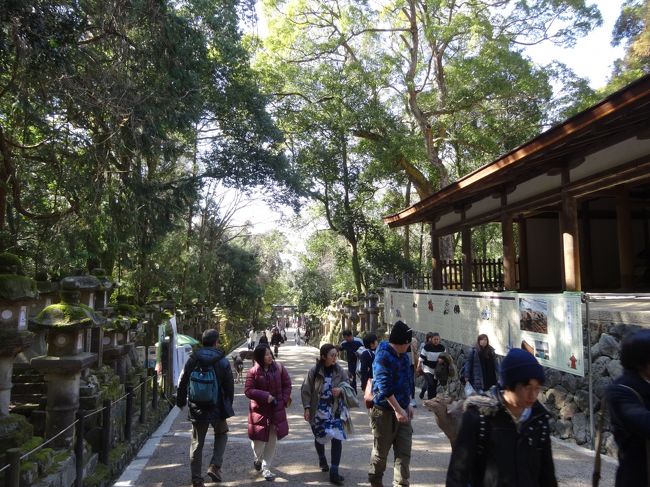 奥の宮の若宮がありますが、<br />こちらも行かず表参道を下ります。