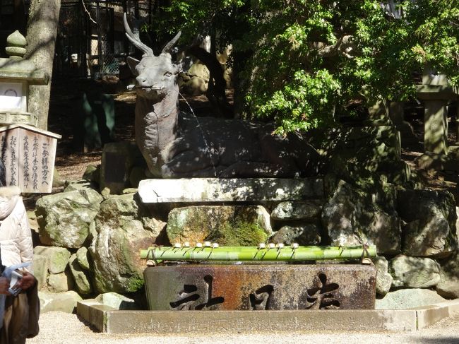 二の鳥居前には、<br />鹿が咥えた巻物から水が出ています。