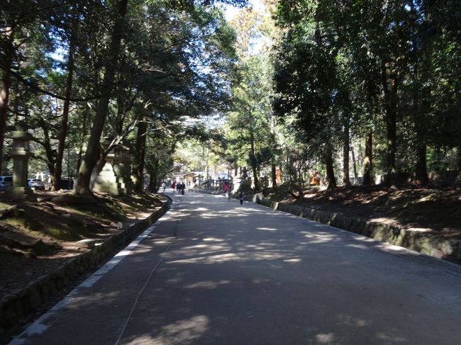 どんどん下って行きます。