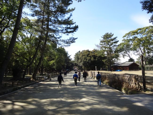 山を下り平地になって来ました。