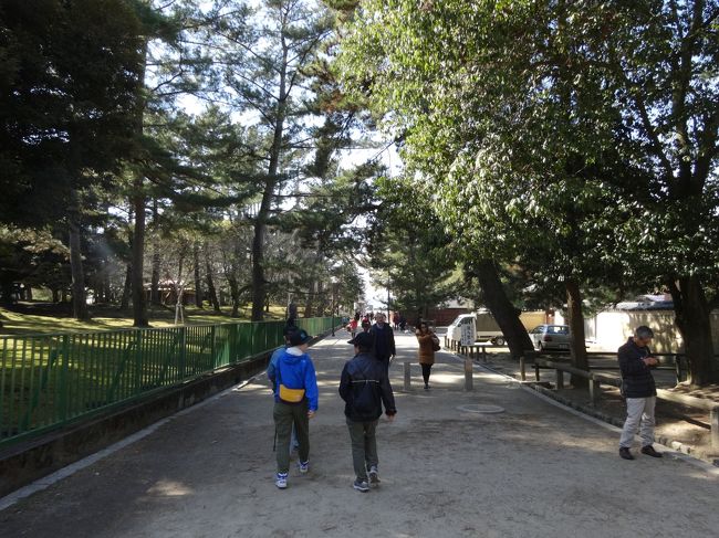 興福寺へ進みます。