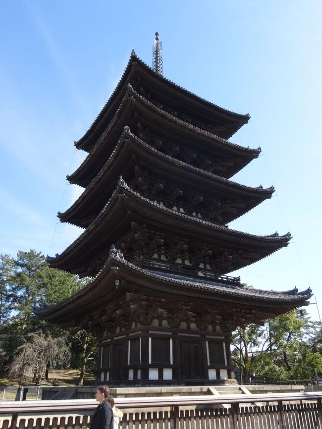 興福寺の五重塔です。<br /><br />室町時代の応永三十三年(1426年)に再建されました。