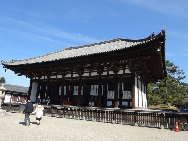 東金堂(国宝)です。<br />室町時代の応永二十二年(1415年)の再建です。