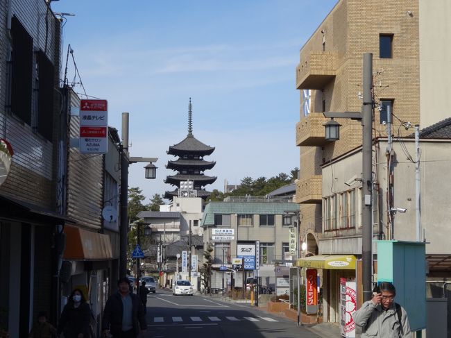 歩いていると興福寺の五重塔が見えます。