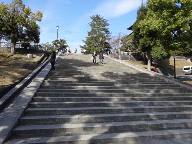 猿沢池横の階段を上り、<br />奈良公園を抜けて駐車場へ向かいます。