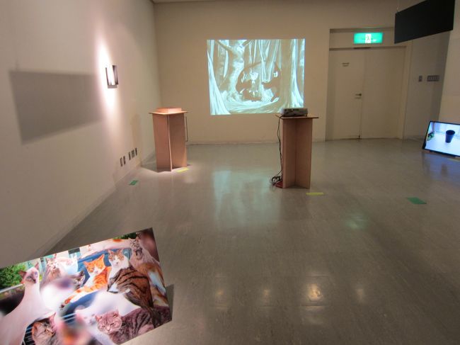 なんかいろんなものがとっちらかっている展示。