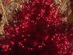 ホワイエには赤を主体に飾られたクリスマスツリー