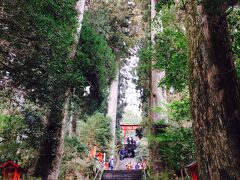 自称 御朱印ガールのため、箱根神社へも参拝です。