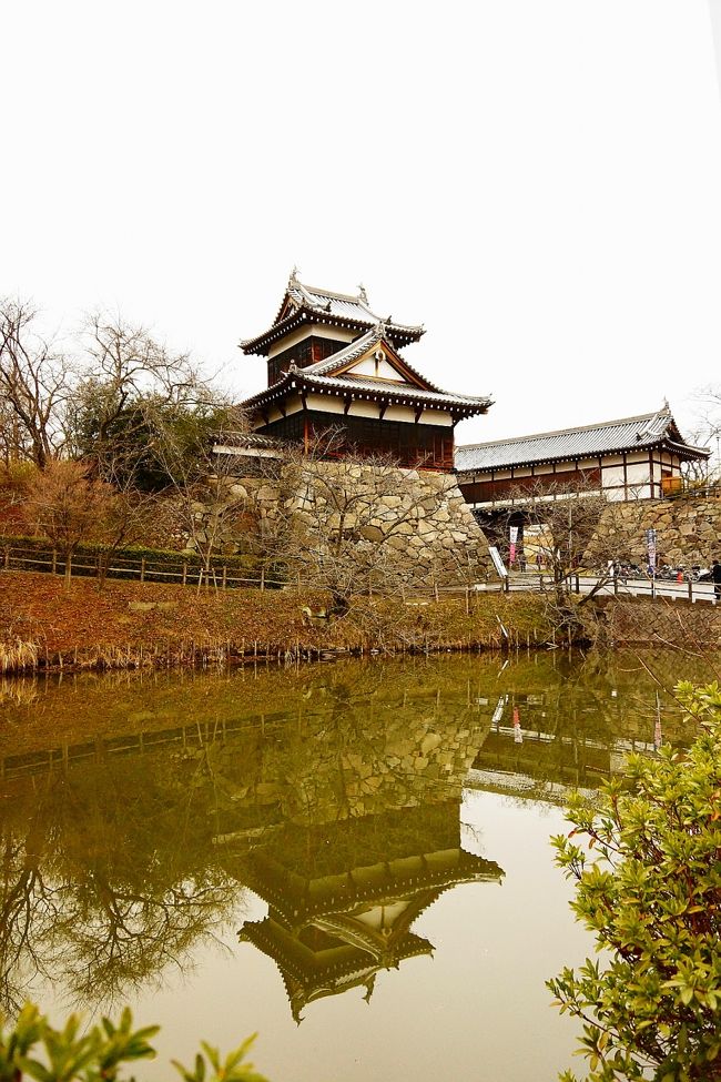 お城で開催される大和郡山盆梅展と城下町の大和な雛まつりを見に行ってきました 斑鳩 法隆寺周辺 奈良県 の旅行記 ブログ By Hiro3さん フォートラベル お城で開催される大和郡山盆梅展と城下町の大和な雛まつりを見に行ってきました 斑鳩 法隆寺周辺 奈良県 の旅行記 ブログ By Hiro3さん フォートラベル