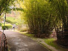 生駒市高山町にやってきました。

高山竹林園です。このあたりが、「高山茶筌」の産地で、茶筌の全国生産シェア90%以上をほこります。生駒市の施設として、竹製品のPRを図る目的でつくられました。展示室や、研修場もあります。市民サービスも受けれます。

敷地内には、日本庭園や竹の生態園もあり、色んな種類の竹が植えられています。