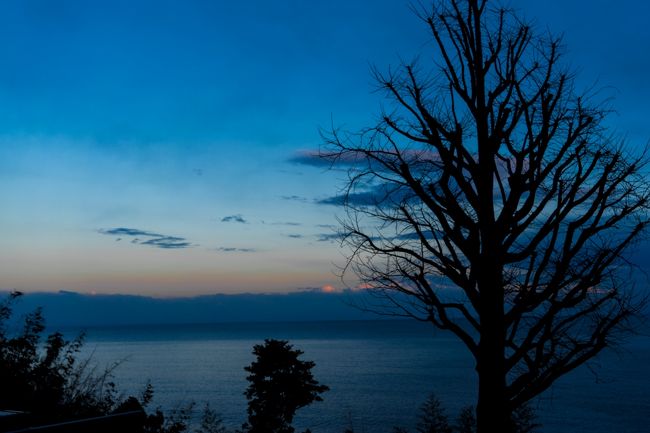 さあお部屋で夕食タイム(ﾟ∀ﾟ)<br />ウチは部屋で買ってきた物をゆっくり食べるのが好きなんです(´∀｀)<br /><br />夕飯に5000円以上も・・・ですし(｀・ω・´)<br />安くス-パ-の弁当でいきます！w