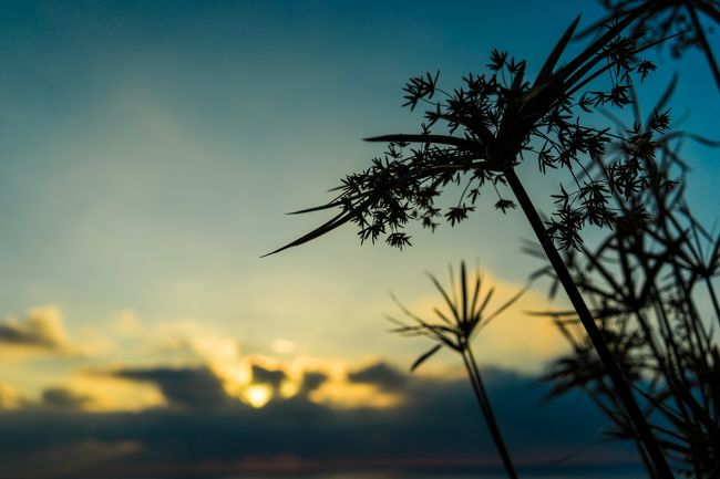 さあ朝風呂にはいりますかな(*´ω｀*)・・・