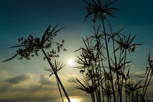 朝風呂からでたしウトウト・・・・<br />気持ちいい・・・風も・・