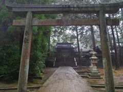 今八幡宮の裏手の車道を下って、すぐ野田神社。市街地に近いのに、神域に入ると空気感が変わります。