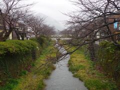 山口駅から徒歩15分。雨の一の坂川。桜の季節はきれいでしょう(^_^;)