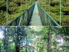 公園名： サンタ・エレナ自然保護区 （Santa Elena Cloud Forest Reserve）
制定年： 1989年
所在地： 中央山脈
他の指定： なし
植物相： 熱帯雲霧林
見どころ： ① 熱帯雲霧林をハイキング、② 吊り橋から林冠観察、③ キャノピー（ジップライン）

モンテベルデ自然保護区に隣接する保護区です。保護区内のセルバトゥーラ・パークでは、吊り橋ウォーク、ジップラインなどのアクティビティが楽しめます。

■ 参考旅行記 ■
4日目： タマリンド → モンテベルデ 雲霧林 夜行性動物の楽園
http://4travel.jp/travelogue/10967569