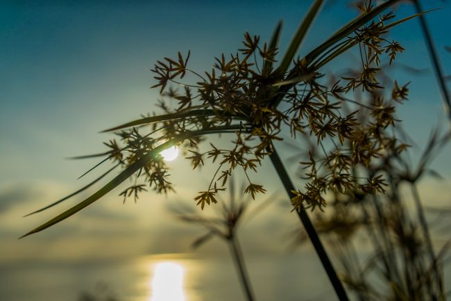 だけどお腹も減った・・・・（´-`）・・・