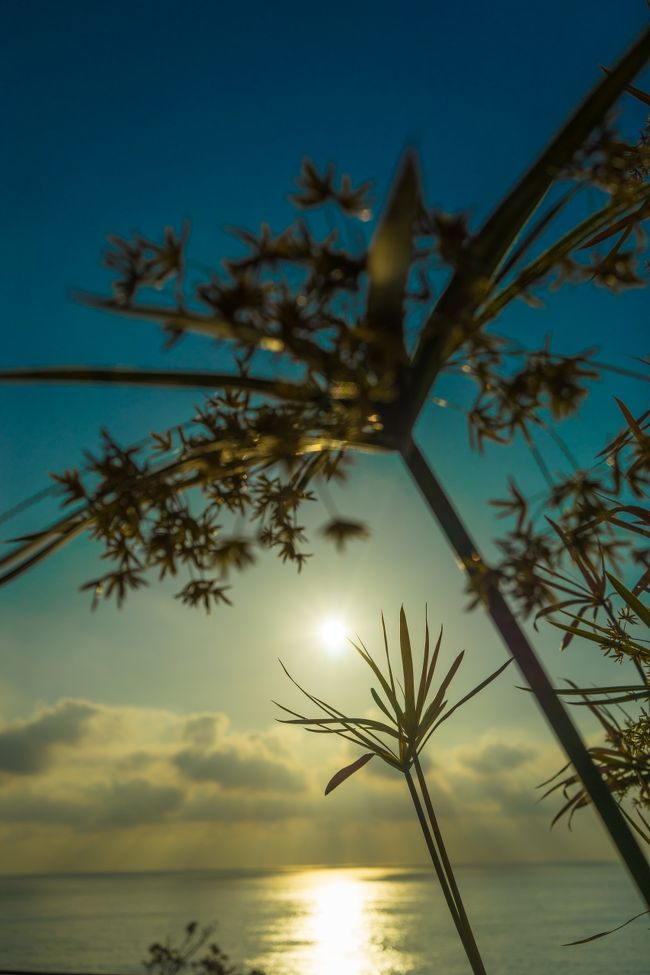 この日全館満室だったから朝のバイキング激混み。。。<br /><br />あっ朝はバイキングで食べるのが恒例ですw
