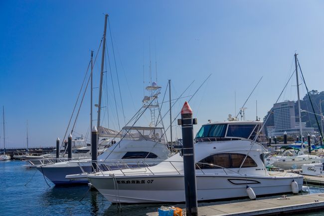 さてチェックアウトして目的の満開梅園にいく・・・<br />時間は昼すぎ・・土曜日・・・<br /><br />当然(・∀・)！<br /><br />クソ混み(ﾟ∀ﾟ)！！！<br /><br /><br />だよね---(´∀｀)b<br />車の駐車待ちがえげつなく道を塞ぐ・・<br />最寄り駅からのバスもえげつなく・・<br /><br /><br />最寄り駅周辺も渋滞・・<br />当然止めるとこもなく・・<br /><br /><br />こういう状況であ-だこ-だになると喧嘩になる率高くないですか？w<br />あまりこういう状態でいたくないんでね・・<br /><br />終わりよければ全てよし<br />終わりが悪いと全て悪くなる<br /><br />折角いい旅行だったからね-<br />違うとこにいきましょうか(｀・ω・´)