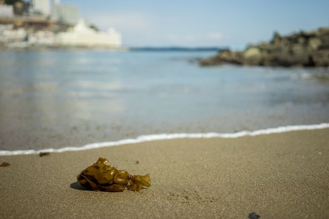 砂もサラサラでなかなか気持いいですわ--