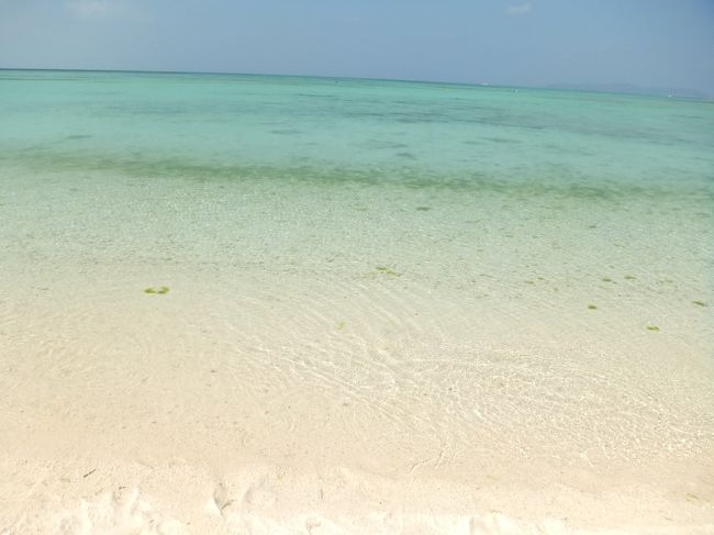 ビーチに到着！<br />ガイドブックではものすごくきれいに映っていて、こんなきれいな海あるわけないよ(笑)<br />と思っていたが、そのきれいな海は本当にあった！！！！<br /><br />感激です！！！