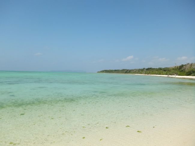 東京湾育ちが知っている海とは別のものですｗ<br />これが東京湾までつながっているとは・・・・<br /><br />海や街並みはきれいだがカラスが怖いので石垣島へ戻ります。