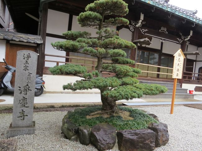 旧川本家のとなり