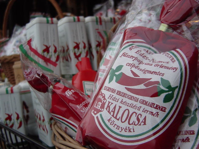 どんよりとした空の下<br />駆け足のブタペスト観光でした。