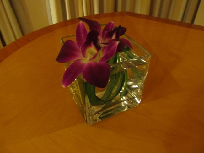 つつがなく、ハノイに着きまして、タクシーで揺られること約30分<br /><br />ホテルに到着<br /><br />深夜になり、1階のバーで少し喉を湿して、ベッドに倒れ込みました(*^。^*)