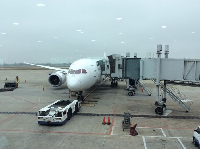 ボーイング787。<br />初めて搭乗します。