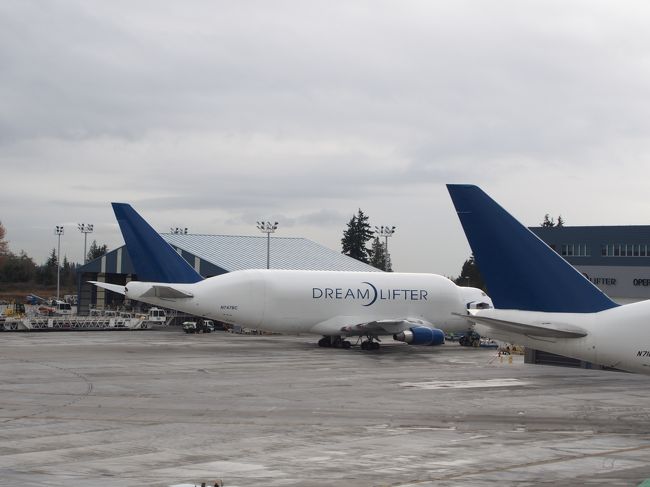 飛行機がイルカなら、この子はジュゴンみたいな形