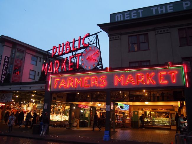 正面からの写真。