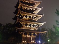 夜の興福寺五重塔。20時30分ごろ行ってしまいました(^_^;)もちいどのセンター街あたりから先(奈良公園側)は、ほとんど人通りがなく、ひっそりとしています。遅すぎました。JR奈良駅のそばのホテルまで戻って寝ます。

※奈良は、JR奈良駅と近鉄奈良駅が少し離れています。
