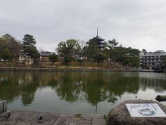 奈良駅から徒歩13分、猿沢池。トイレは南東側にあります。