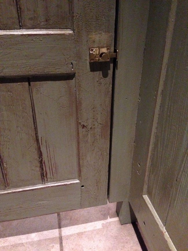 例のおトイレ。ぱしゃり。