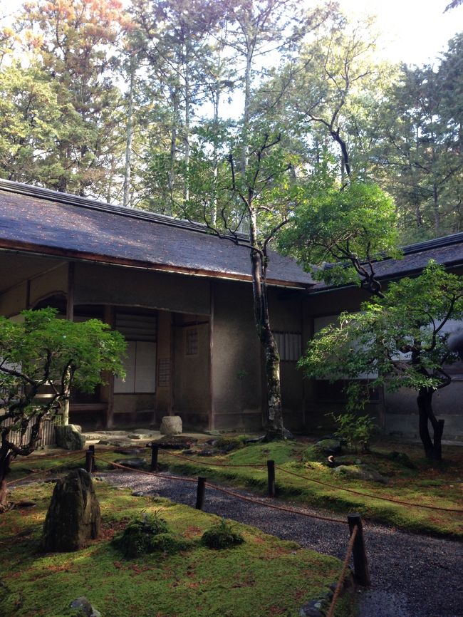 何処からか鹿威しの音がします。