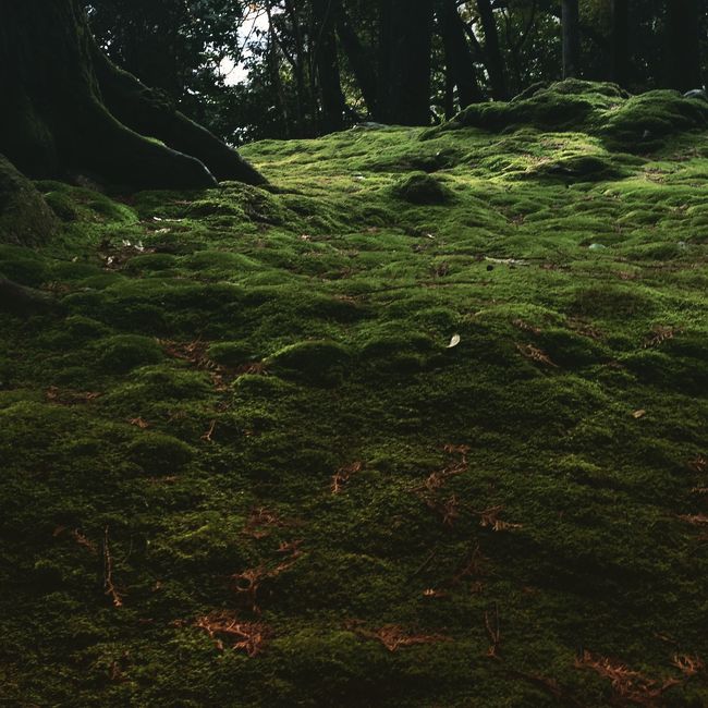この日は天気が目まぐるしく変わっていって、特別な一日でした。