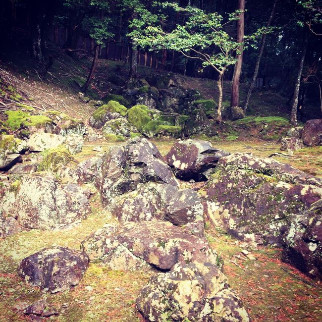 枯山水。滝を表してるとか。