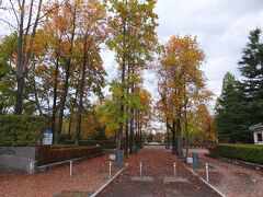 ＜砺波チューリップ公園／南口＞
砺波駅から歩くこと10分、砺波チューリップ公園へ。