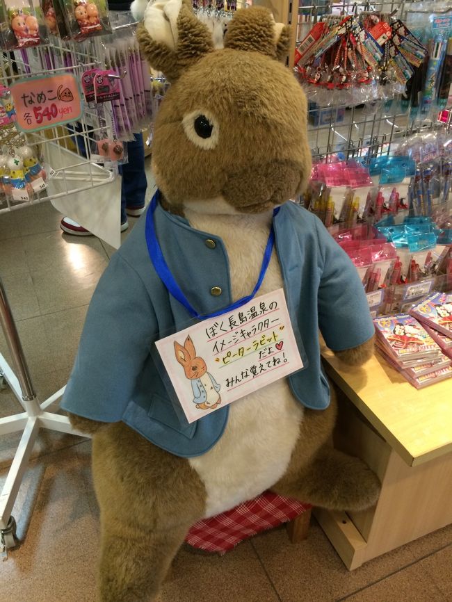 なばなの里のイルミネーション行ってきた 女子旅in長島温泉１日目 桑名 長島 三重県 の旅行記 ブログ By ちのちっちさん フォートラベル