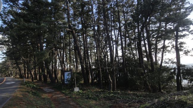 夕食まで時間もあるので、さらに足を進めます。