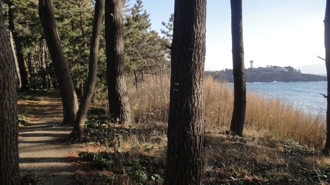 海沿いのけもの道のような小道を進みます。