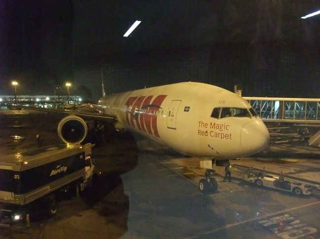 ＦＲＡからはＴＡＭでサンパウロへ。Ｂ７７７で大西洋を横断！<br />ＴＡＭはこの後スターアライアンスからワンワールドに移ってしまったので<br />もう乗ることはないかもしれません。<br />（写真はＧＲＵ到着時に撮りました）