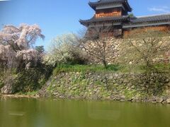 途中、車窓から郡山城跡が見えました。

ここでも桜が満開のようです。
この枝垂れ桜がこの城跡のシンボルだそうです。


