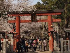 奈良駅まで戻って自転車を返してからタクシーで奈良公園方面へ向うと、桜がきれいな神社があって、たいそうな人で賑わっていました。

運転手さんに聞くと「氷室神社」だそうです。

急きょ、ここでタクシーを降ります。


