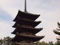 興福寺　五重塔(国宝）

古都奈良を象徴する五重塔です。
仏教の祖釈迦の舎利（遺骨）をおさめる墓標だそうです。

