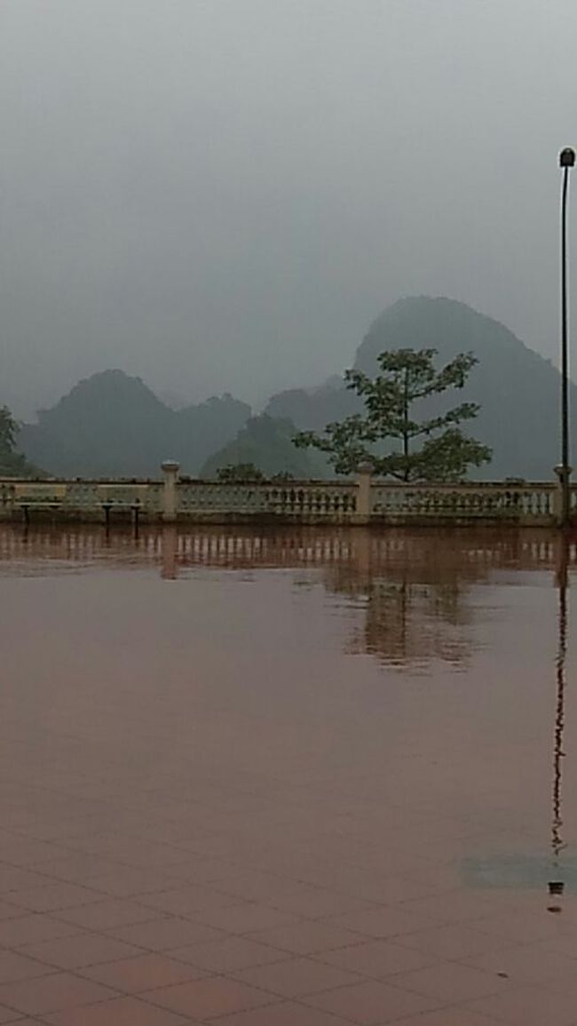 ケーブル駅からの眺め。森が深い。