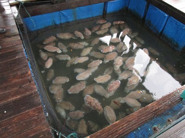 こんな感じで貯えてます。