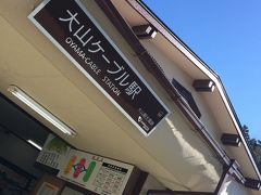 終点の阿夫利神社駅までの往復チケットを購入