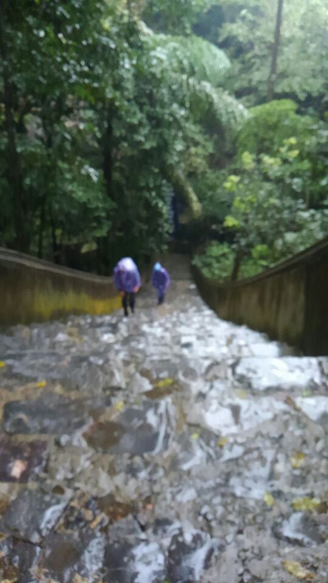 ５−６分でケーブル山頂駅に着き、更に５−６分歩き、洞窟寺院の入口に着く。この１００段余りの石段を降りた所が洞窟寺院だ。